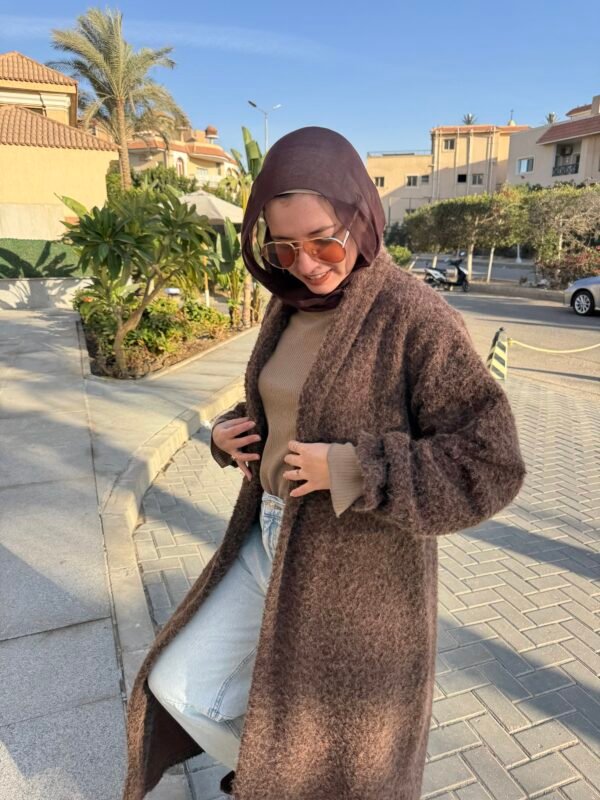 Olfa Wool Coat in Brown